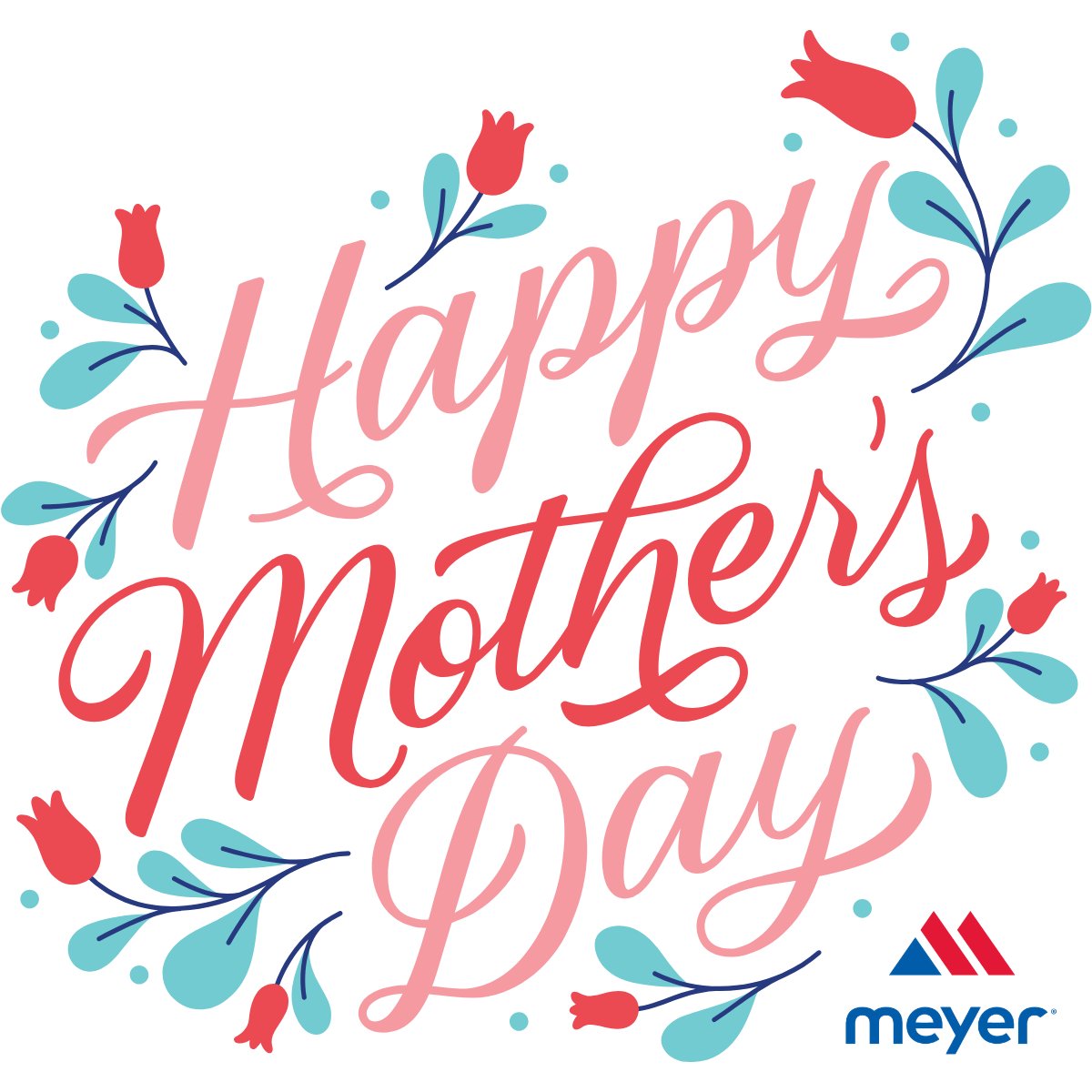 MeyerLaboratory's tweet photo. Happy Mother’s Day from Meyer! 💙

Today we celebrate all the amazing moms and mother figures who inspire us every day. Wishing you a wonderful Mother’s Day! https://t.co/gJnQXL1iuc