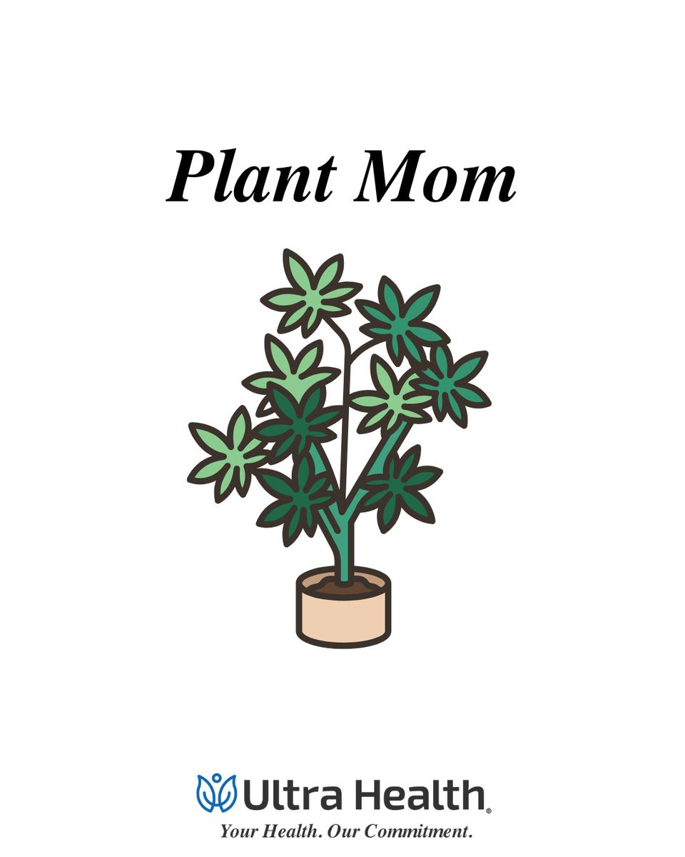 UltraHealthMC's tweet photo. They say it takes skill to grow something extraordinary. Moms have known that all along. Happy Mother's Day to the OG cultivators.💚

It's not too late to secure your spot as mom's favorite. Stop by Ultra Health for storewide savings and pick up the flower she actually wants. 😉 https://t.co/UdbMzAP502