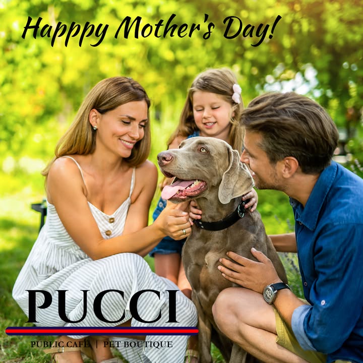 PUCCI Café tweet media