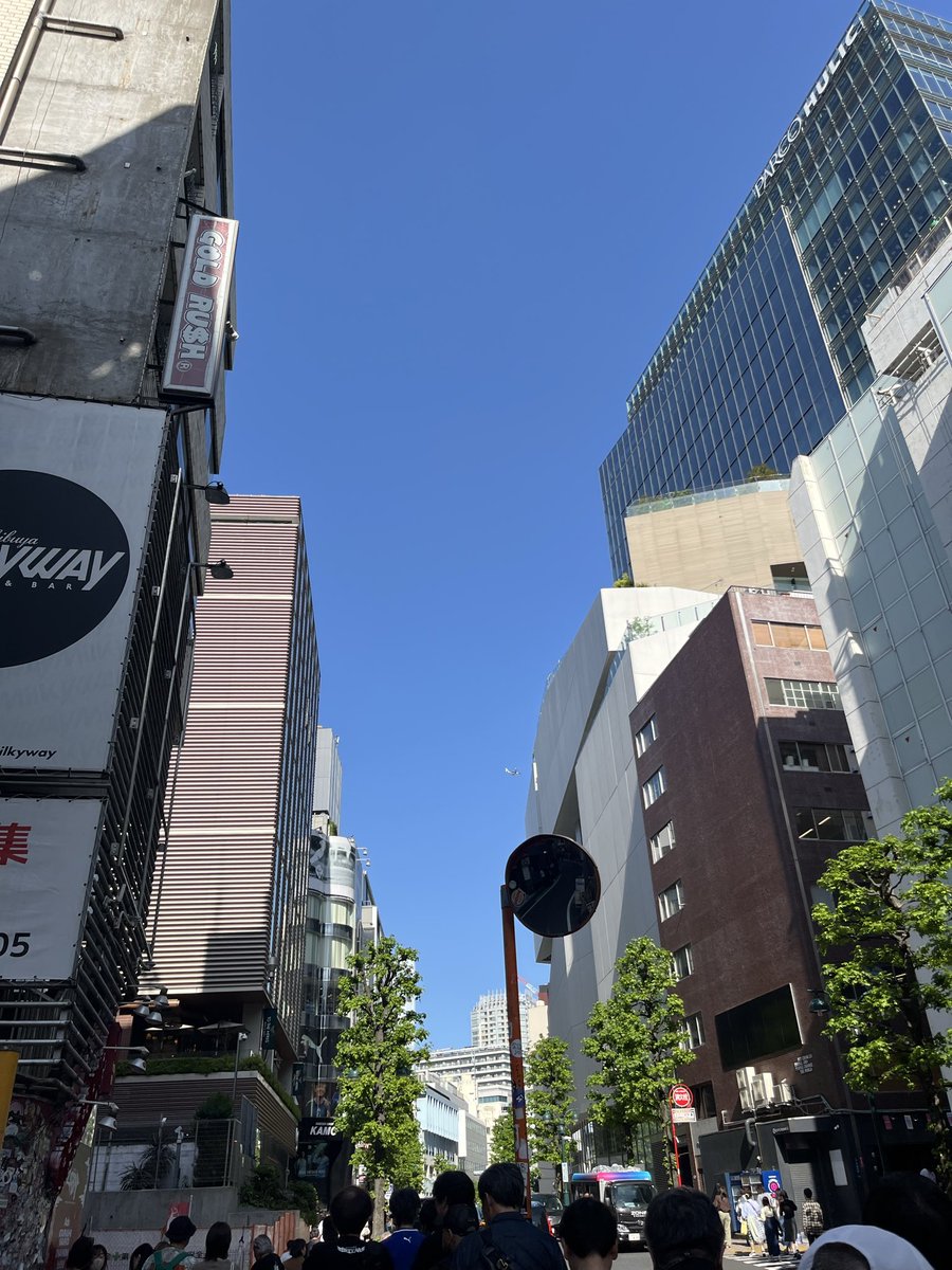 🐪らくだ tweet media