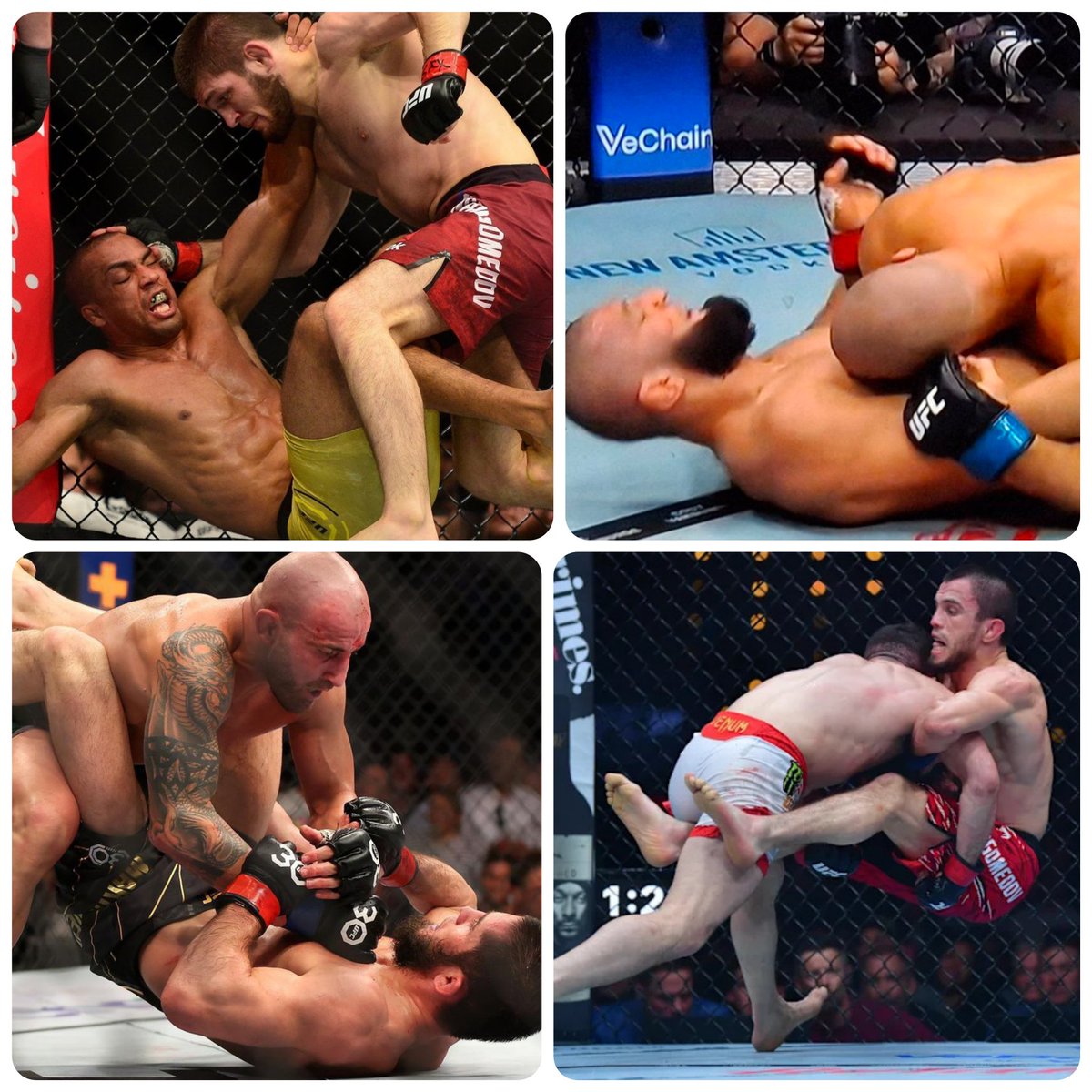 MMA Fan Wars 🎩⚔️⚔️ tweet media