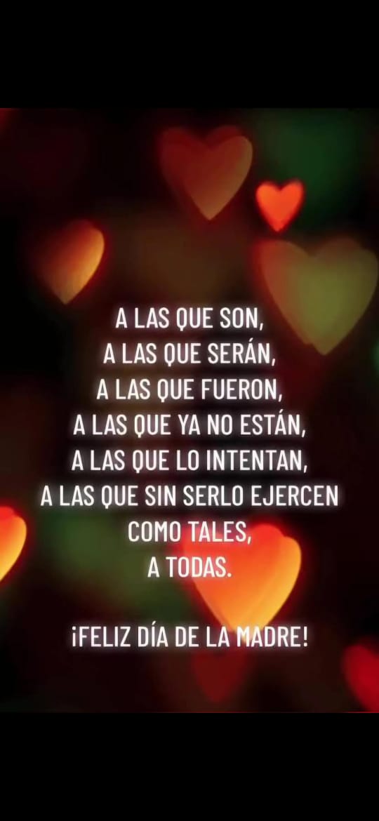 Tana Borsotto B. 🌷🐩🐕🐈🌺 tweet media