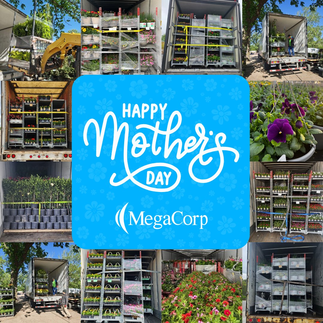 MegaCorp3pl's tweet photo. To all the moms out there, thank you for all that you do, today and every day. 
This Mother’s Day, we’re especially proud to help deliver the flowers that celebrate moms everywhere. Happy Mother’s Day!🌷

#MegaCorp #MegaCorpLogistics #TeamMega https://t.co/k7r5fdkjw3