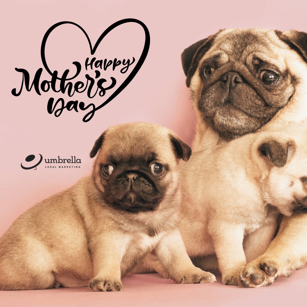 UmbrellaLM's tweet photo. To every mom, stepmom, grandmother, bonus mom, and mother figure out there — today is yours. Thank you for everything you pour into the people around you. https://t.co/zOxseUEyU1