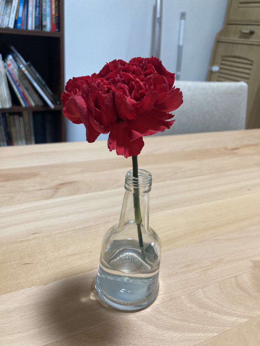 rin1024rin's tweet photo. 怒涛の4月をなんとか乗り切ったと思ったら、5月もあっという間に10日…‼︎
過ぎ去る日々の早さよ。。

ニッコニコでお花を渡してくれて、私が喜んだら私より嬉しそうに笑ってくれた息子♪ https://t.co/kot9hvJ2ZN