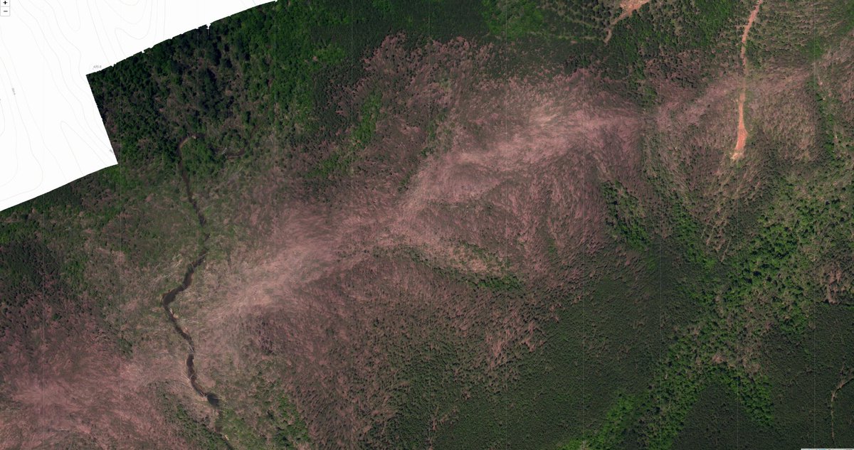 Ef5 Tree The Cordova, AL long track EF4 from 4/27 is very underrated. The ...