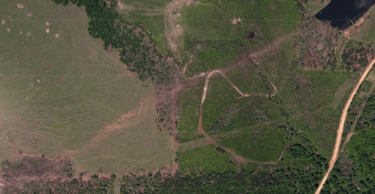 Ef5 Tree The Cordova, AL long track EF4 from 4/27 is very underrated. The ...