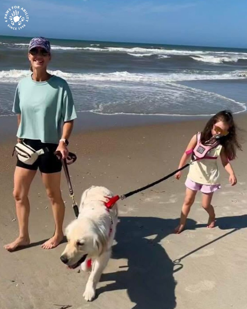 4 Paws For Ability tweet media