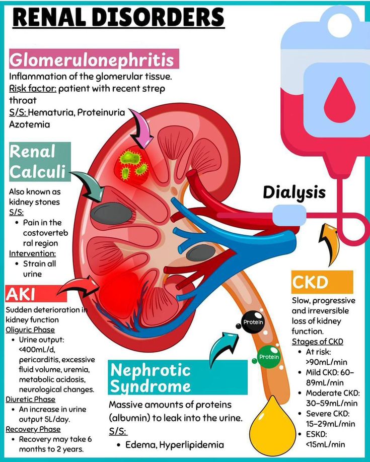 Meded Daily tweet media