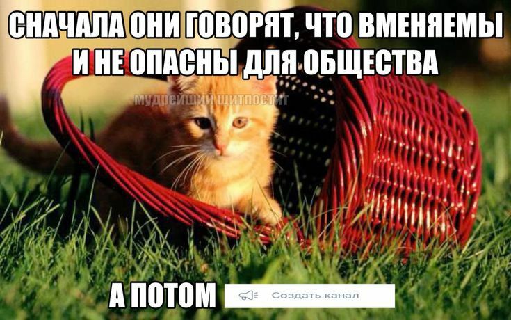 NARA #поискмью tweet media
