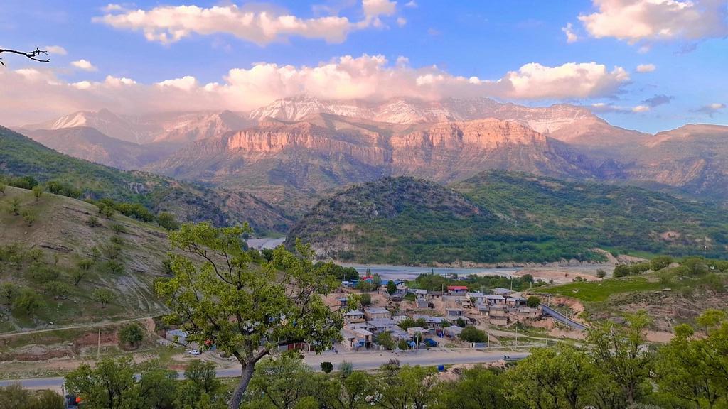 دهدر بی مریم 🇮🇷🍃 tweet media