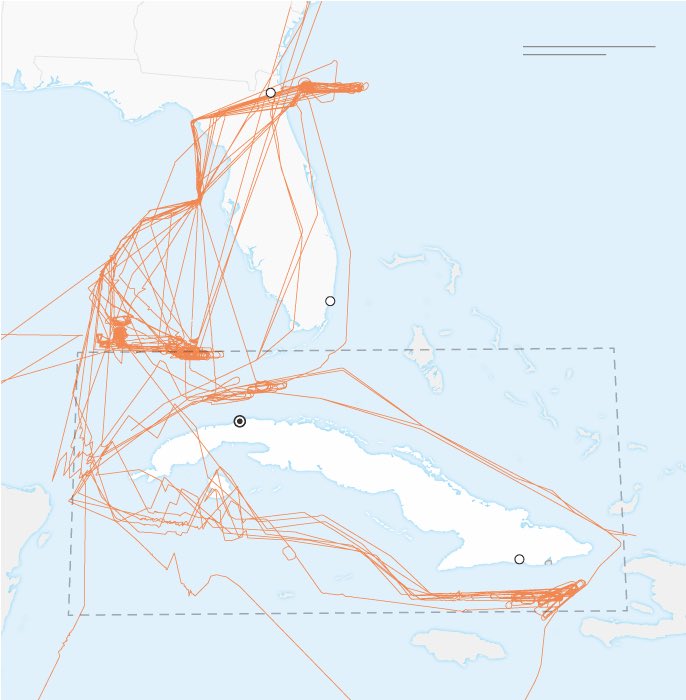 Mag Jorge Castro🇨🇺 tweet media