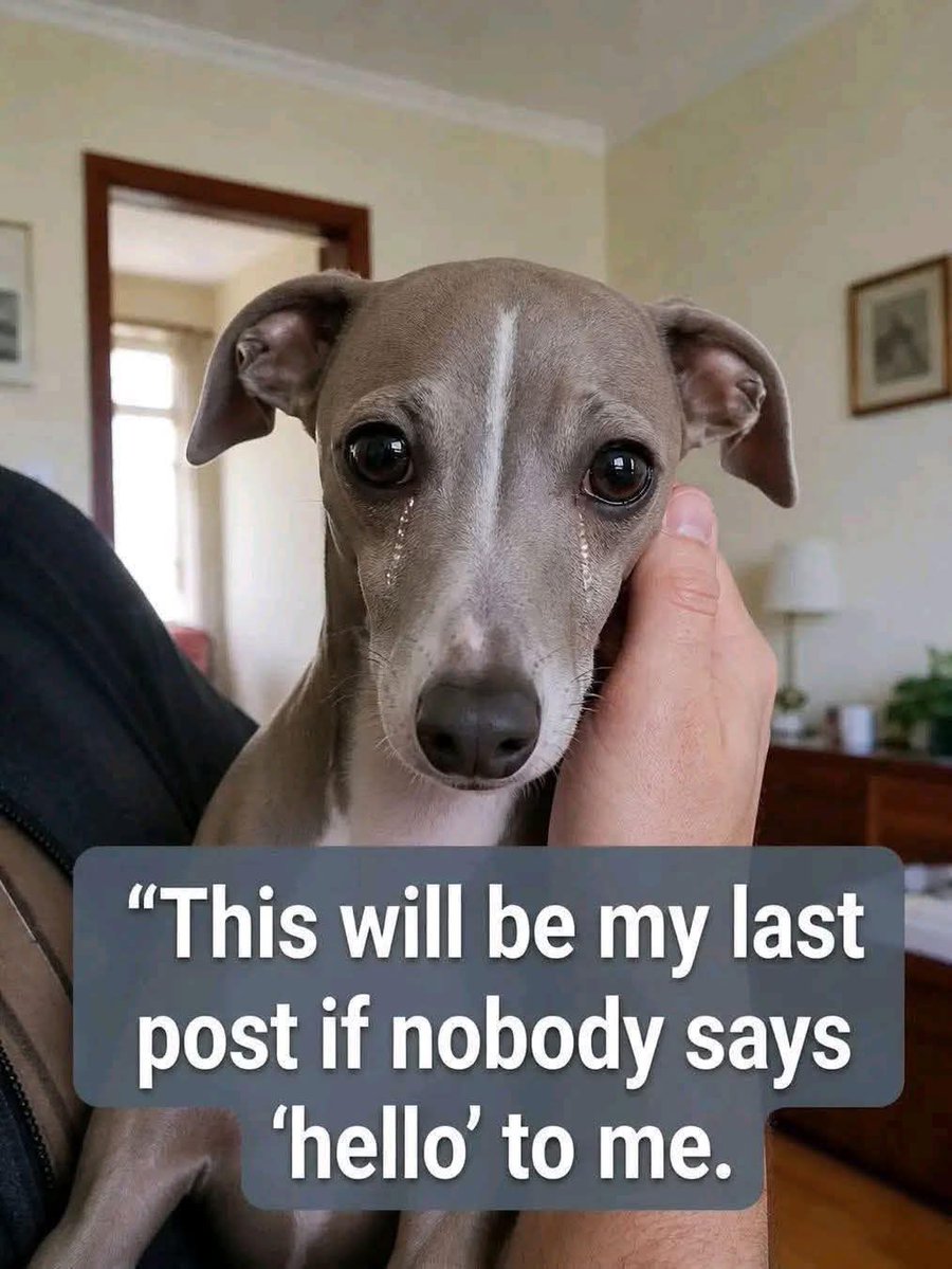 Lilly tweet media