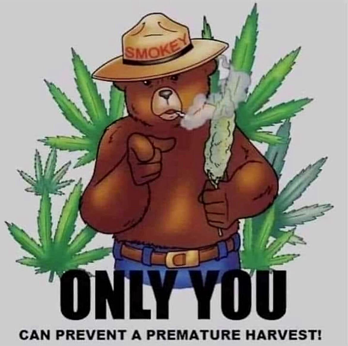 medicalgrower42's tweet photo. Always be patient and make sure your plants are finished! https://t.co/qXIN5zTegw