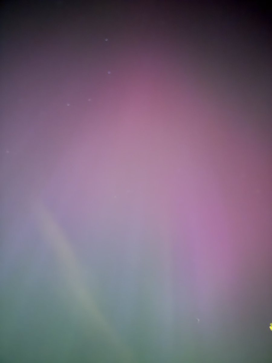 codecolorist@infosec.exchange tweet media