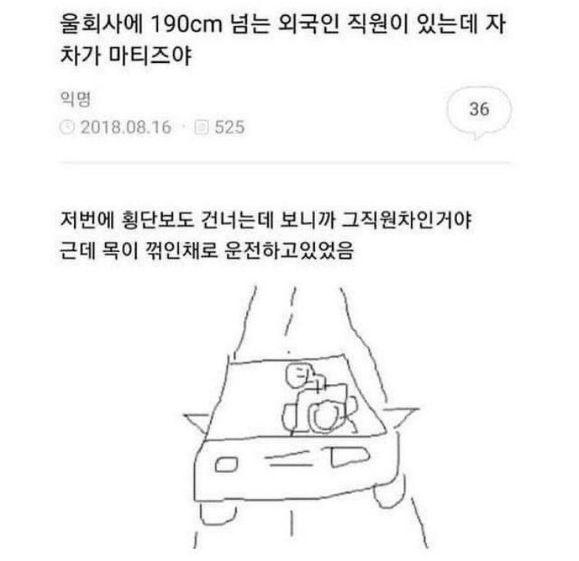 마토 tweet media