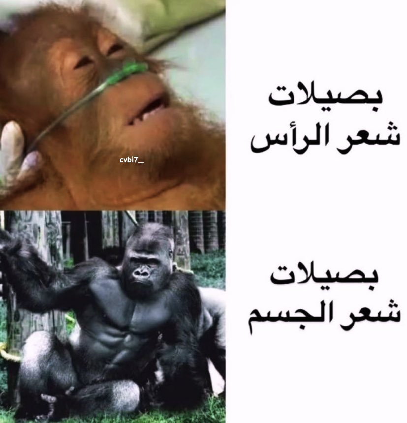 Rً tweet media