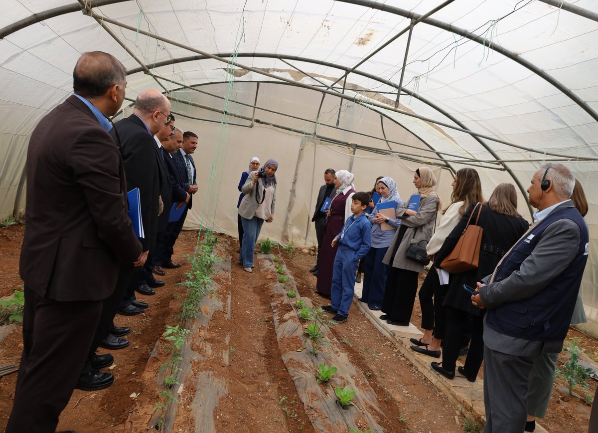 UNESCOJordan's tweet photo. زار وفد يمثل أعضاء الصندوق الائتماني متعدد الشركاء🇨🇦🇮🇹🇳🇴🇨🇭،مع@edugovjo و@JordanUnescoمدرسة حفصة بنت عمر للتعرف بالتع��يم الأخضر عبر مبادرة اليونسكو
أبرزت الزيارة دعم اليونسكو للتعليم الأخضر ومشاركة الطلبة بما يتماشى مع ركائز شراكة التعليم الأخضر
🔗للاستزادة:https://t.co/hxO6eNDUvs https://t.co/1GAygE06pV