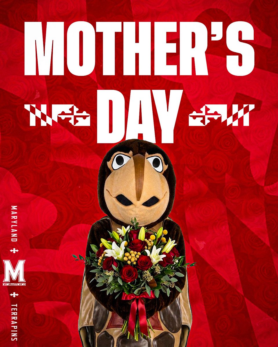 Testudo tweet media