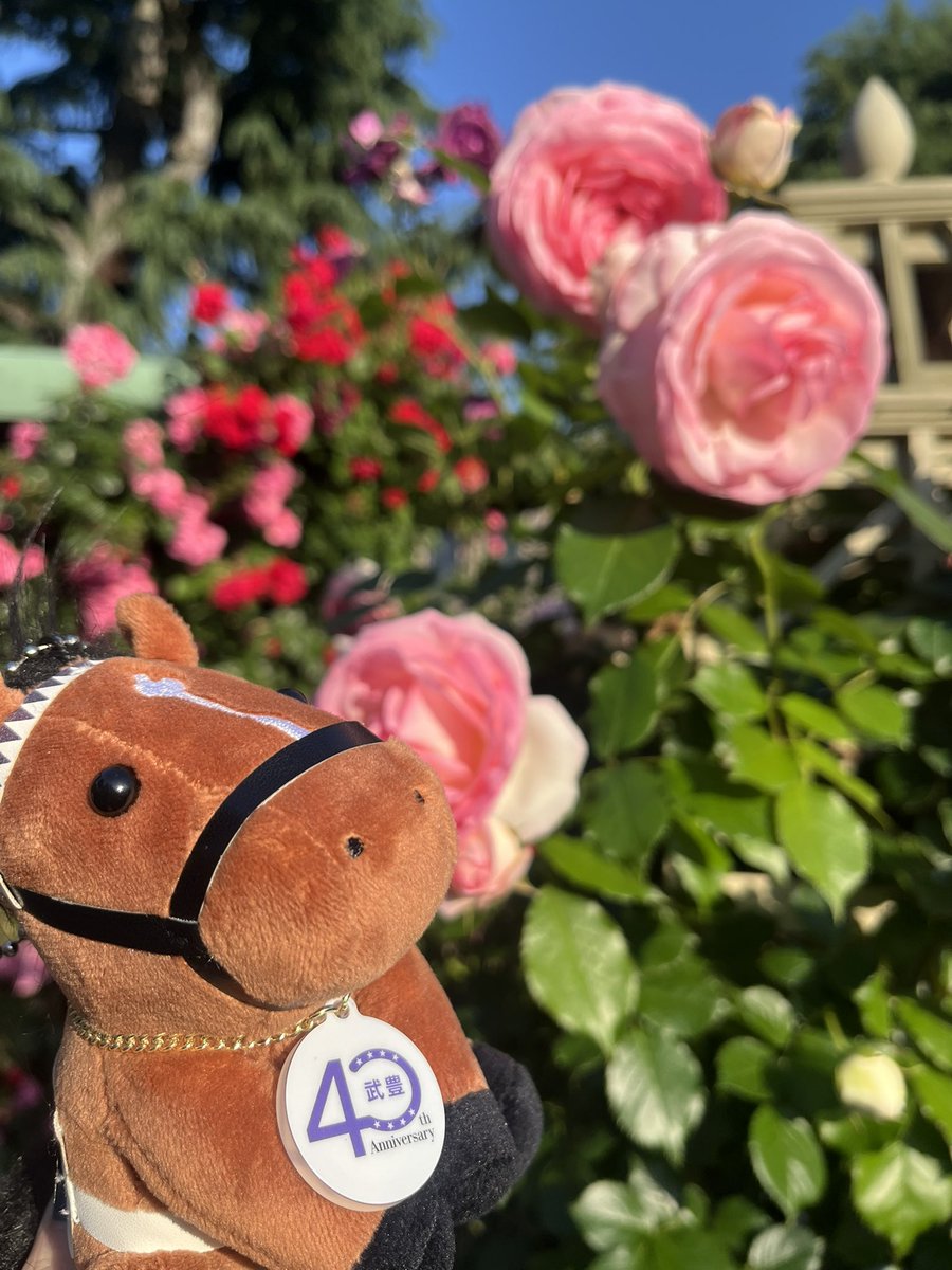 musaaaasi's tweet photo. 💐5月のむさしチャンス🎂

17(日) 19:00〜

24(日) なんじでも

28(木) 17:30〜
31(日) 19:00〜

5月末までバースデー企画🍰
1回指名で目印チャームプレゼント(おひとり様一点限り)

お問い合わせはこちらから🎉
https://t.co/o4XGdajNl2 https://t.co/QOqFX0PCLQ