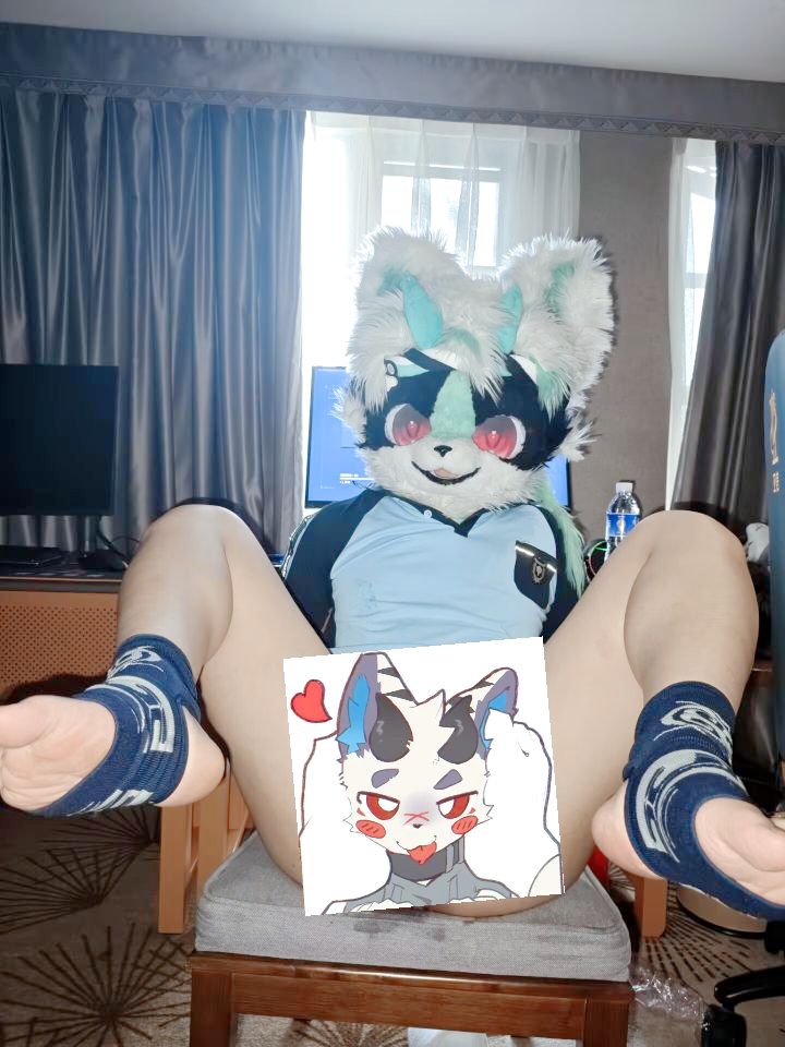 murfur（墨飞） tweet media