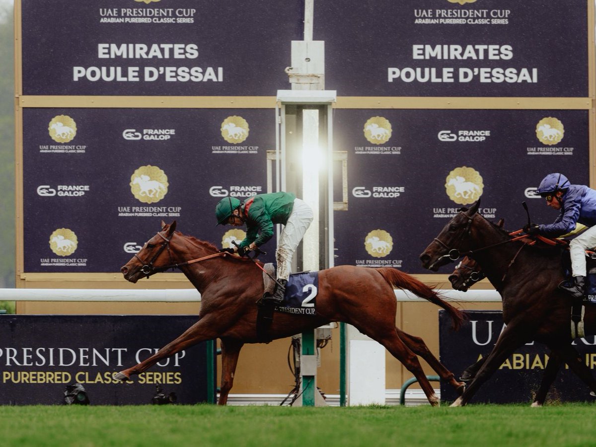 AgaKhanStuds's tweet photo. 🎉 #Rayif wins the Gr.1 Poule d’Essai des Poulains!

This grandson of #SeaTheStars - a Gr.3 winner and Gr.1 placed at 2 - becomes the 9th winner of this @paris_longchamp Classic for the Aga Khan family. 🟢🔴 https://t.co/URmvdXUaIR