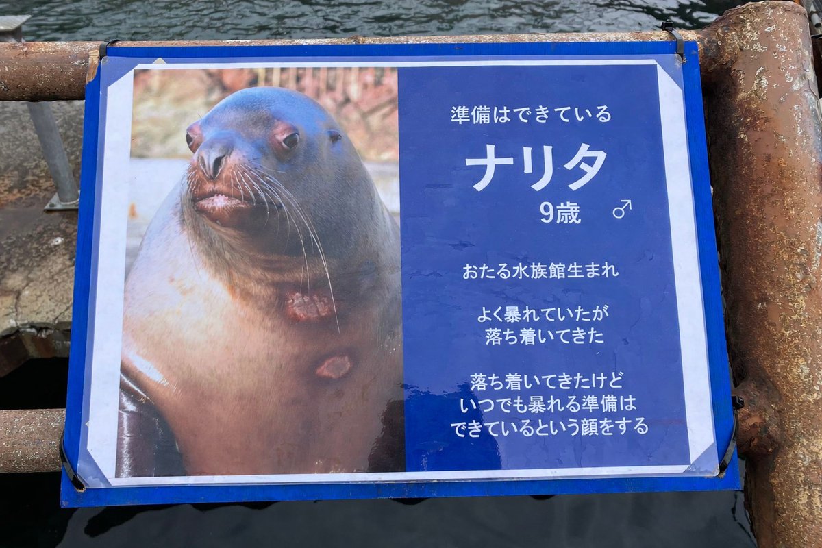 とうま tweet media