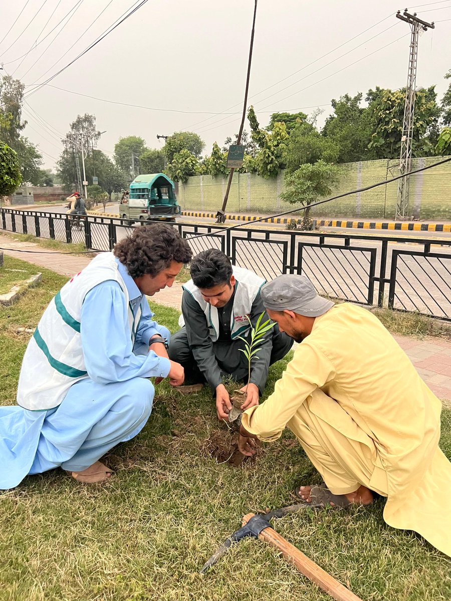 BachaKhan Green Foundation tweet media