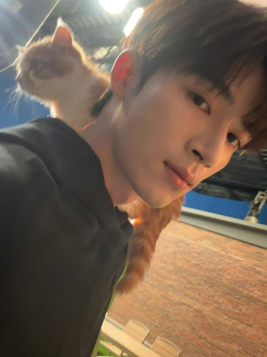 콩 tweet media