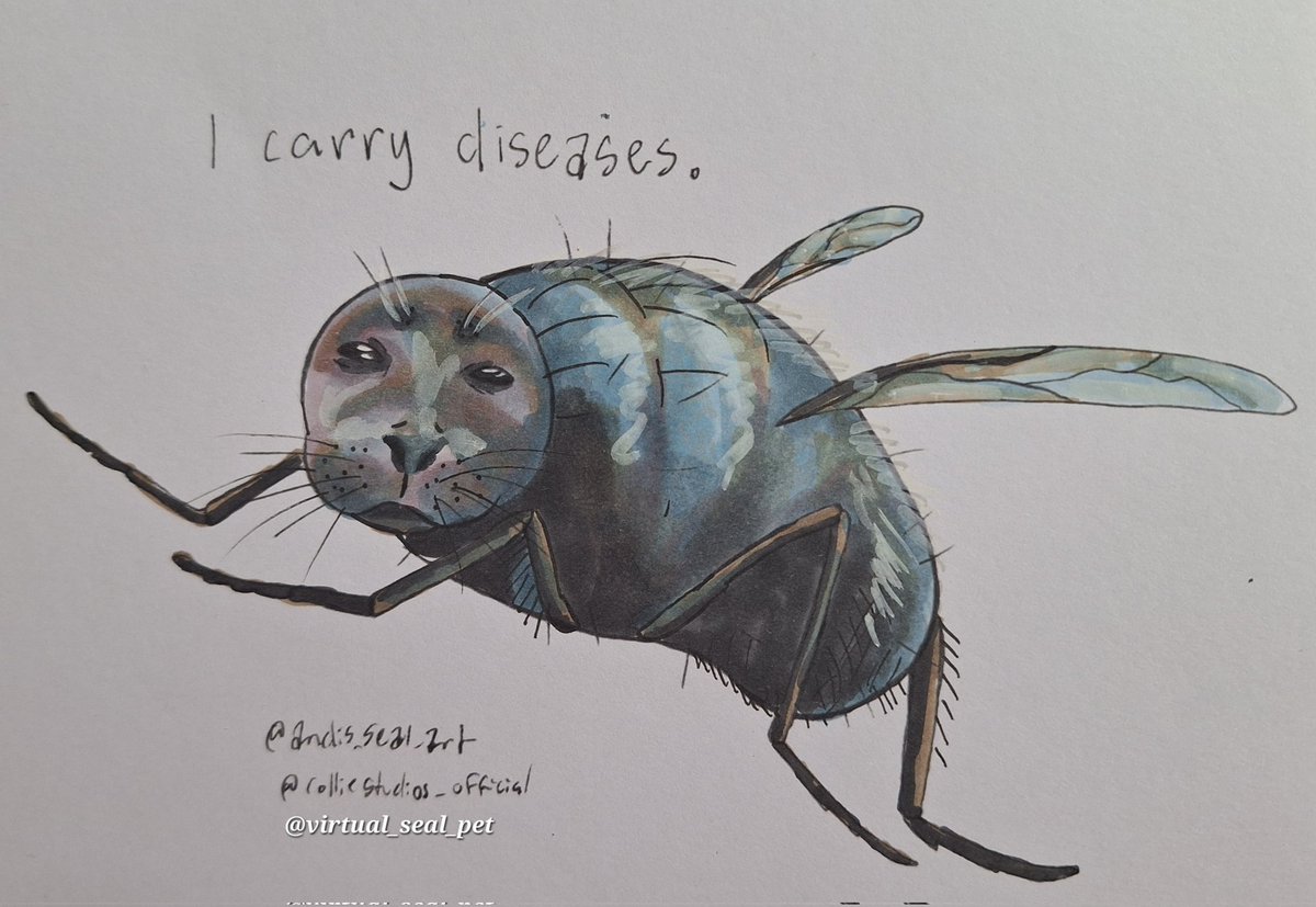 Niko fly carries diseases 
Art collab - Collie original idea, Andi sketched it and I printed it out and coloured it

#sealtwt