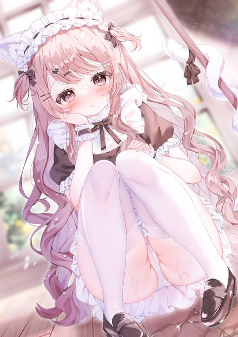 そんなところで寝ていたら、一緒にお掃除しちゃいますよ〜֊  ̫ ֊🐾

#メイドの日 
