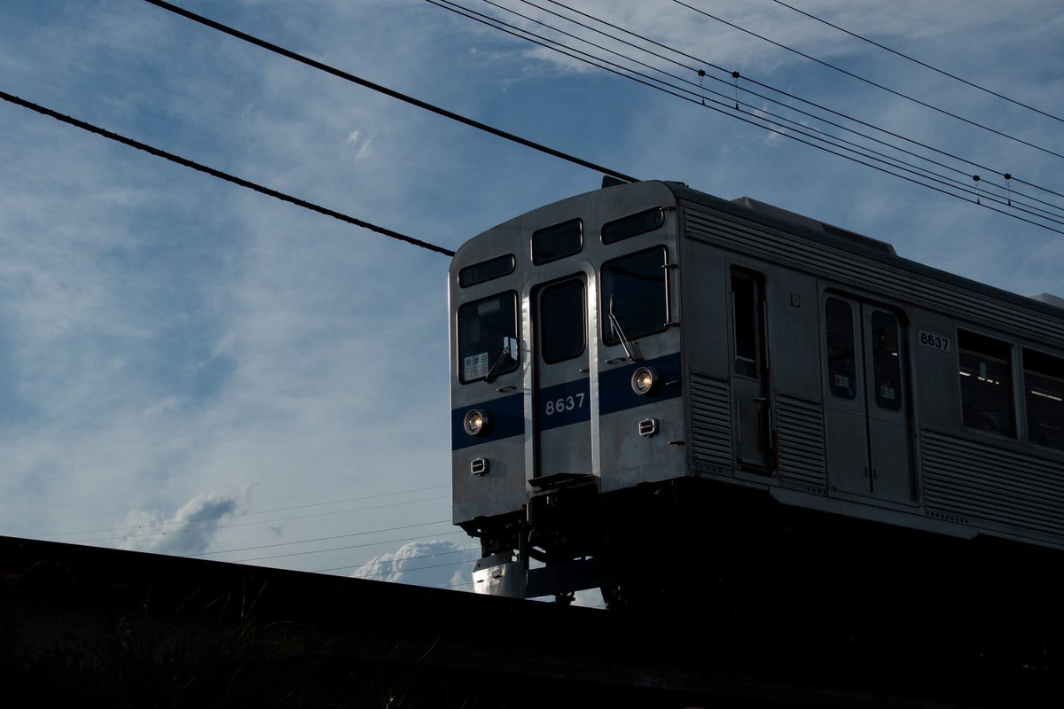 Asama_85's tweet photo. 2026/5/2〜5/5
186運行:東急8500系8637f
こどもの国線臨時列車

当時はもうこれで終わりだと思っていた日常。約3年半ぶりにあの日常が戻ってきました。 https://t.co/GQ6wFrpLyU