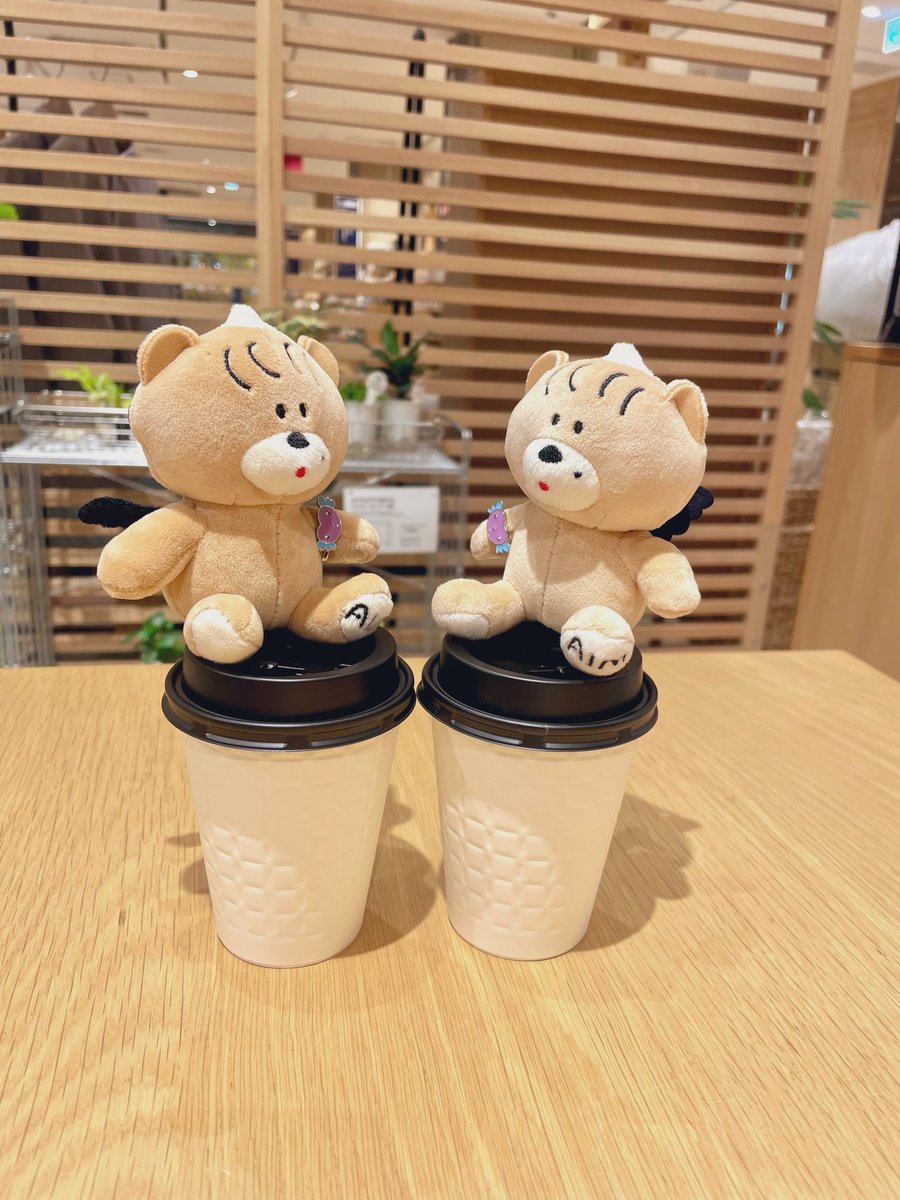 mnm__aim's tweet photo. ミネットのケーキは可愛くて綺麗でいつ食べても美味しい🐱🍰
母の日仕様も素敵🫶🏻
最後の方の悩んで迷っての買い物（爆買い）はほんま楽しすぎた🌼（笑）
かほちゃん今日もありがとうー🤍 https://t.co/ZwXvLNN251