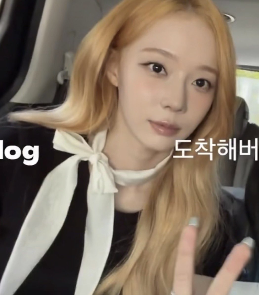 สองสาวคนดังแห่งวงการแอร์ 
ยูจีมิน แห่งสายการบินคารินก แอร์ไลน์
คิมมินจอง แห่งสายการบิน หมูหยอง แอร์เวย์