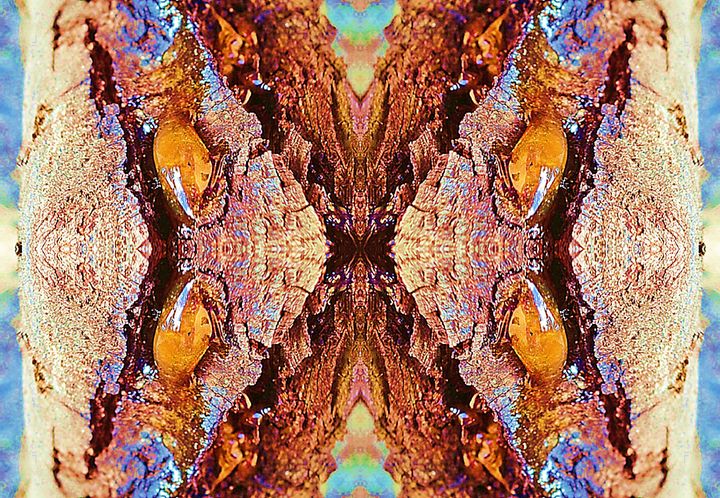 SherrieArtist's tweet photo. Art of the Day! "Resinants". Buy at: https://t.co/S0EKFw6s7M https://t.co/KJHmJFqzxm