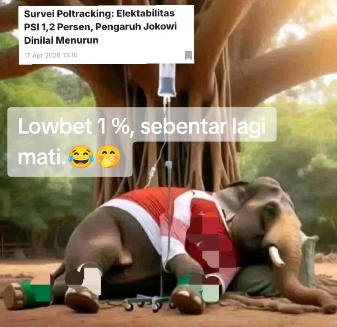 Anak ogi tweet media