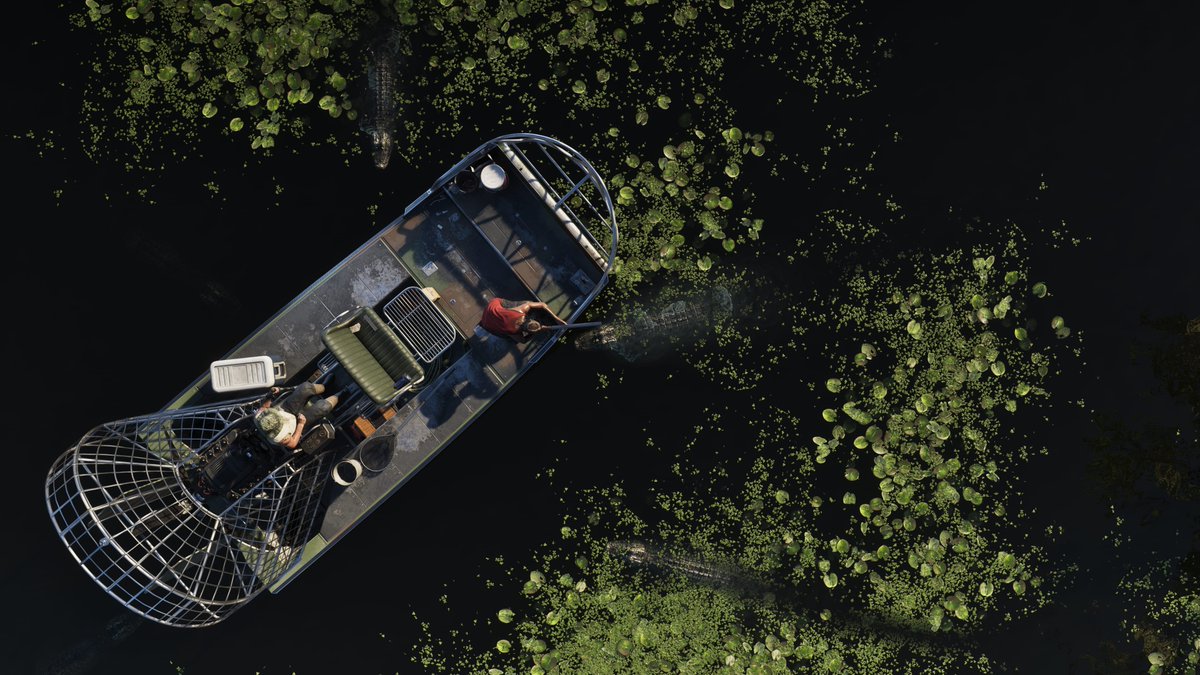 Grand Theft Auto 6 Alerts tweet media