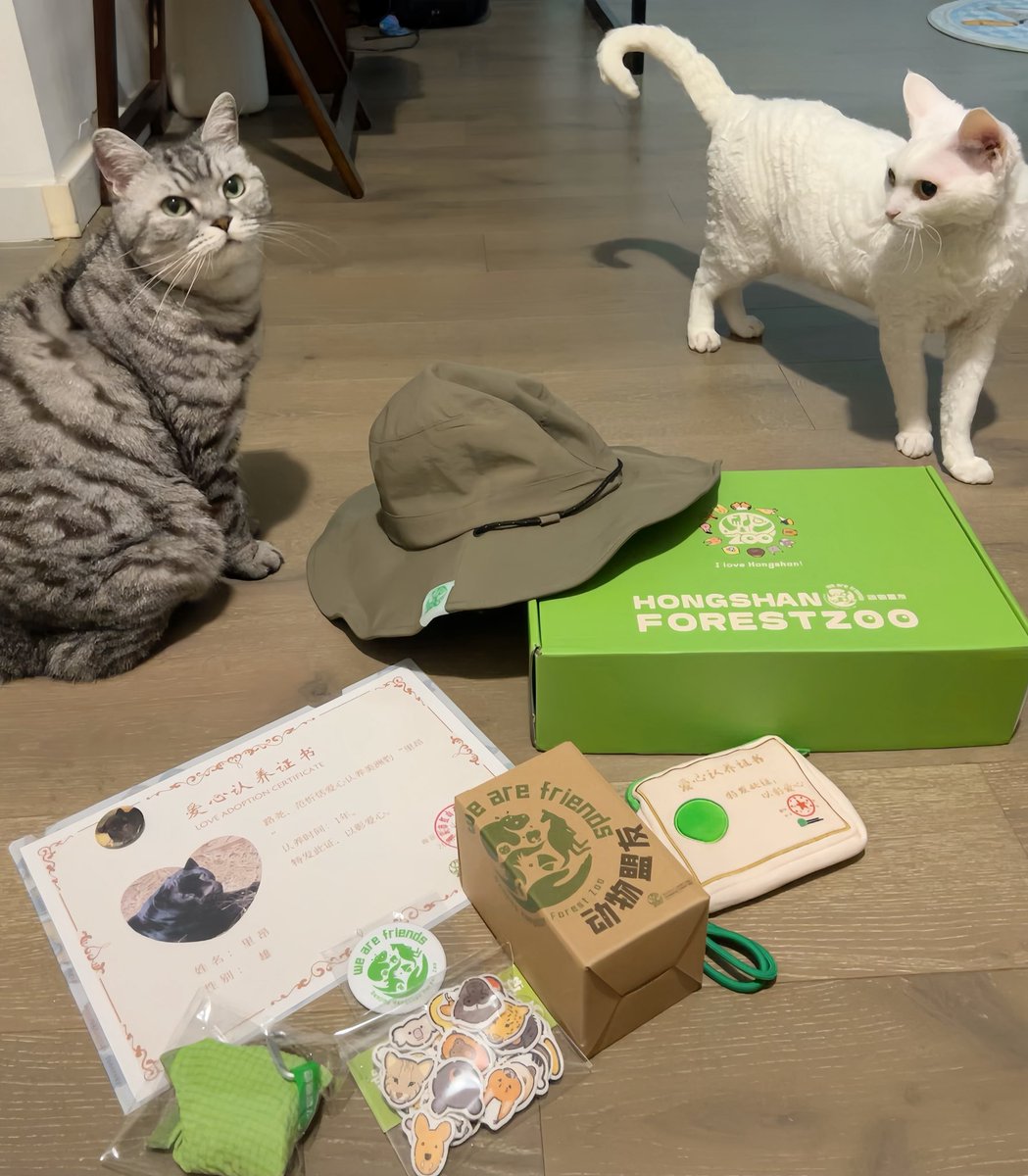 yol11492302's tweet photo. Look who showed up for the photo! 📸🐾 Our jaguar "Li Ang" adoption pack from Nanjing Hongshan Zoo is here. Kiwi 🐱 + Shaun 🐱 + Li Ang 🐆 = three cats, all in!
#AdoptionDay #CatSquad #Cats https://t.co/u9SPXDOfQK
