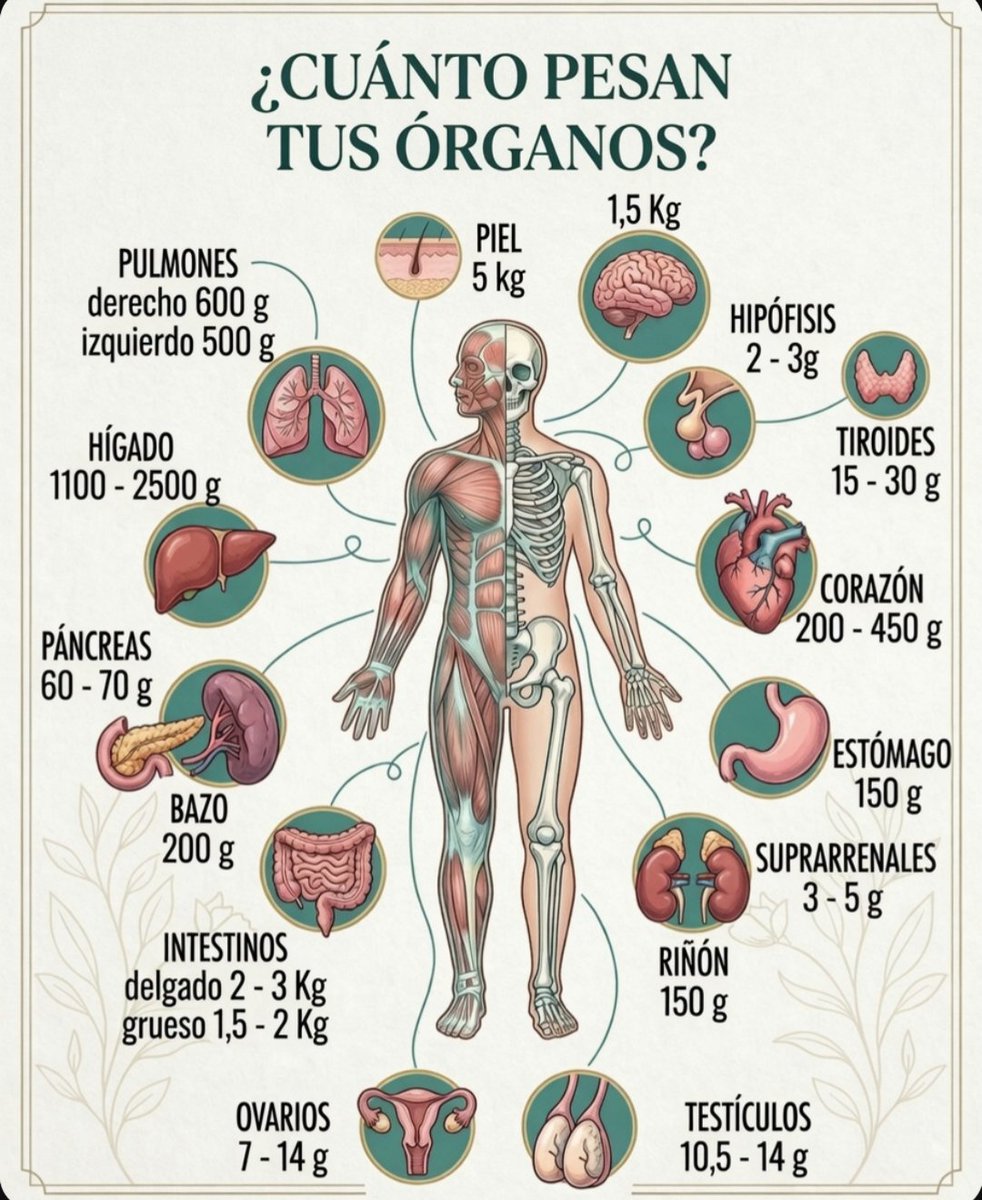 El código mental. tweet media