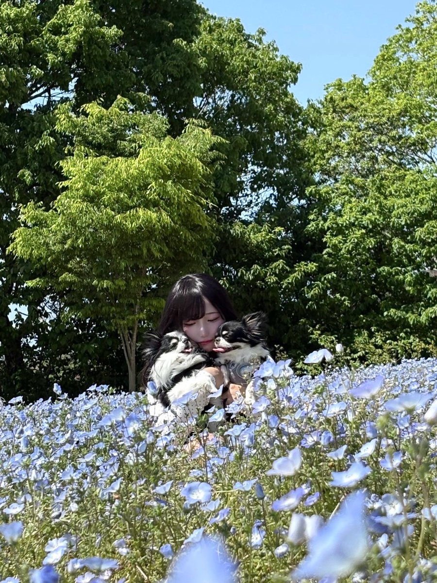 ねる tweet media