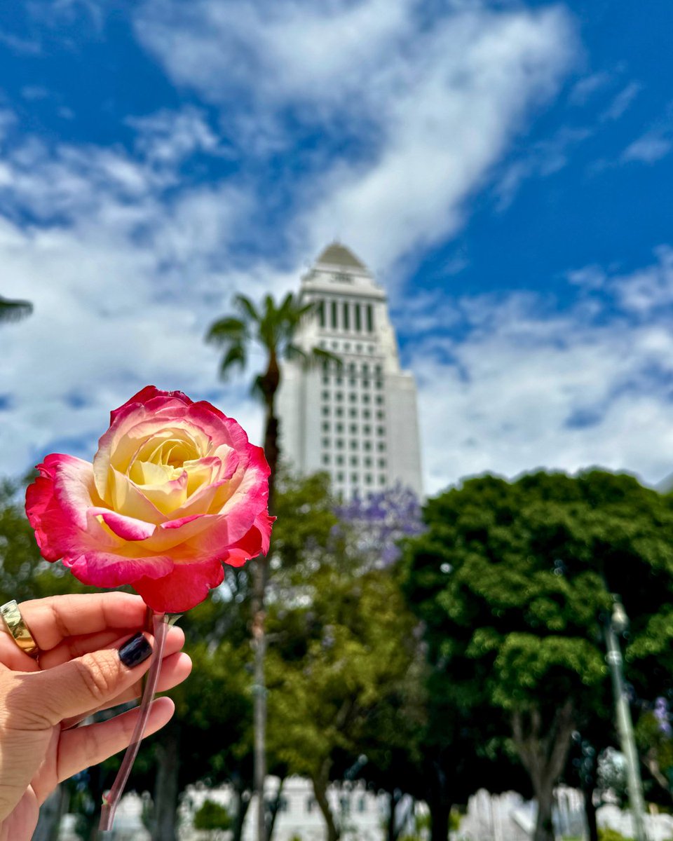 City of Los Angeles tweet media