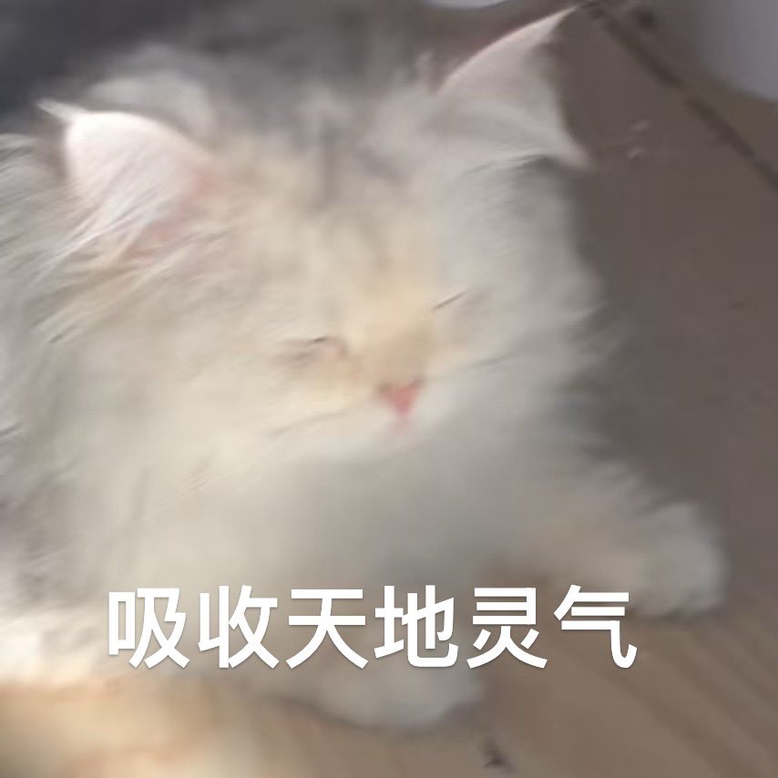 倔强小白兔 tweet media