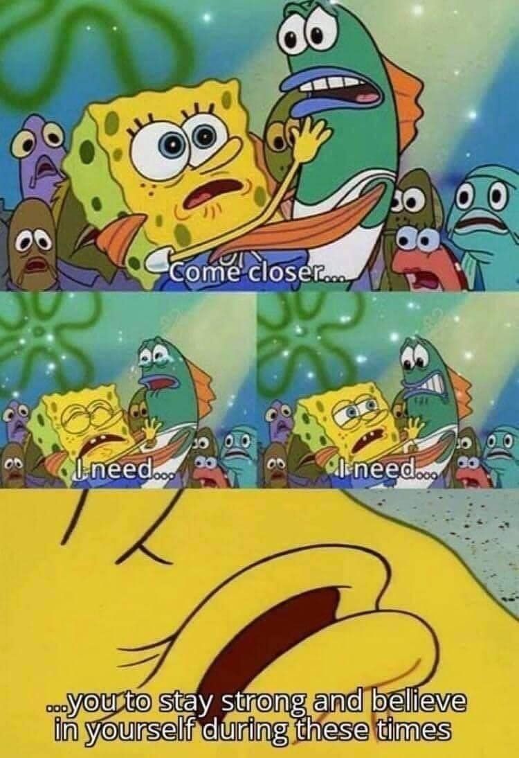 WholesomeMemes tweet media