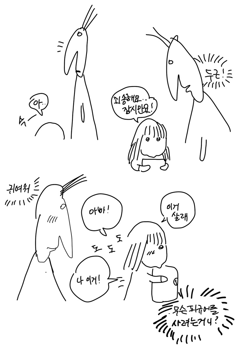맘보룸바차차차 tweet media