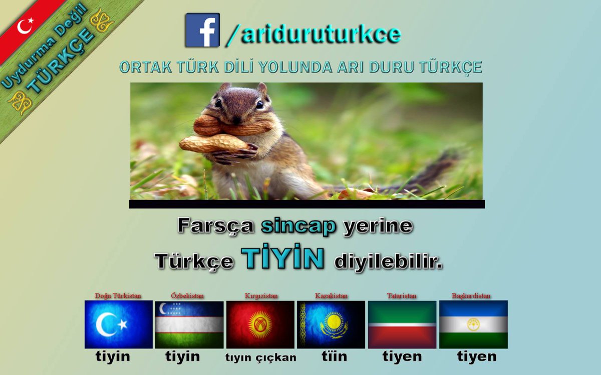 Esad Kibar tweet media