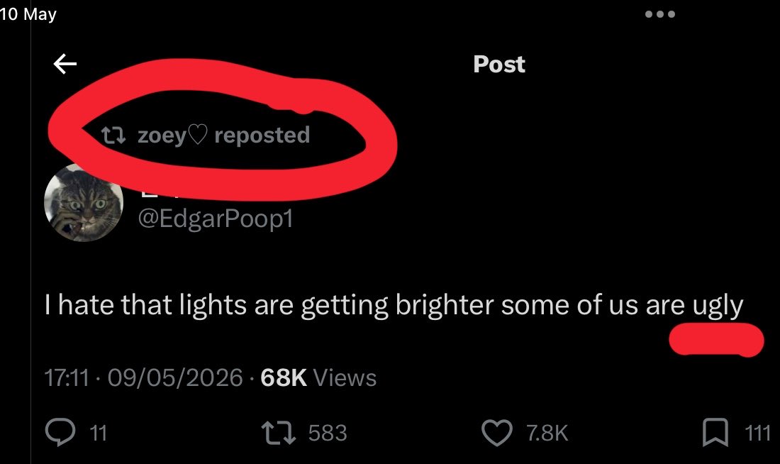 ₊𖥔 𝐨𝐥𝐢 ۪ ׄ ׅ𖥔ׄ 💒 tweet media