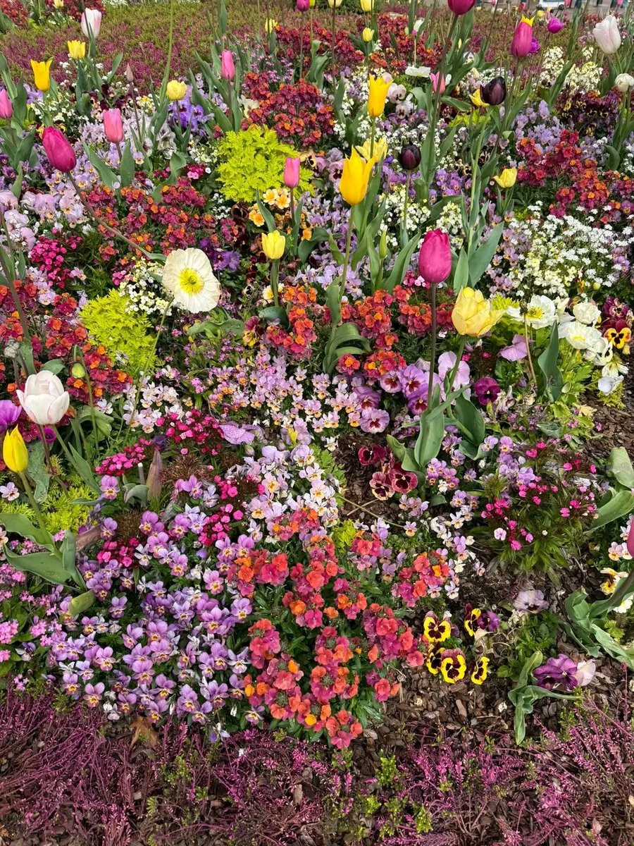 JanetMcarty's tweet photo. Happy Mother's Sunday 
The price we pay being a lady isn't easy 
Cheers to all ladies out there, you are beautiful, you are the best 💓💓💓American https://t.co/su4mhPPOvF
