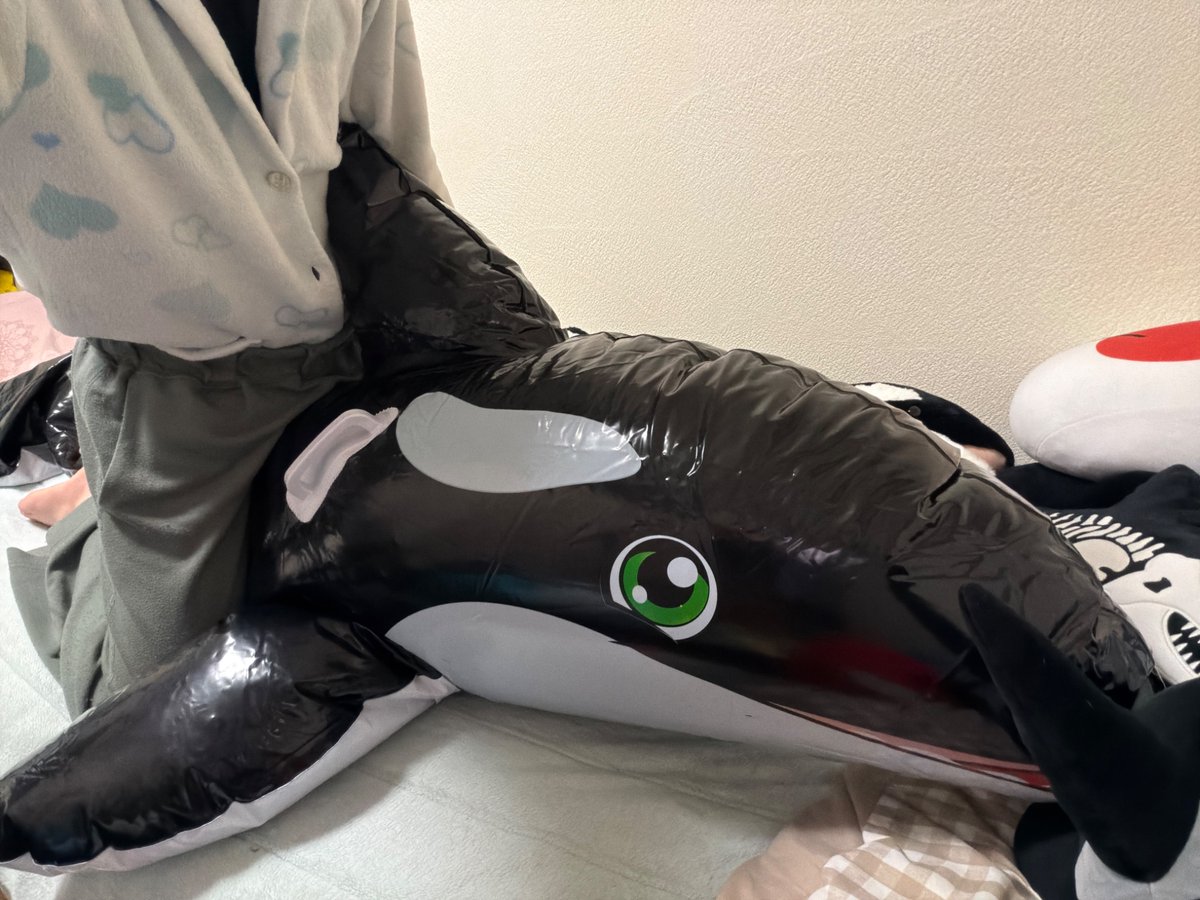 シャチちゃん達に乗る🥰