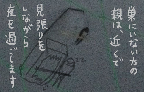 1日おきメモ（中原じゅん子） tweet media