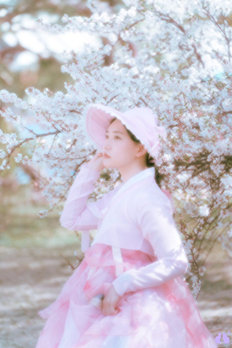 코코밀 tweet media